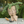 Load image into Gallery viewer, Cute Lady face Plant Pots Closed Eyes
