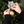 Load image into Gallery viewer, Bike Riding Family of 5 Christmas Ornament