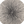 Load image into Gallery viewer, Contemporary Burst