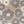 Load image into Gallery viewer, Modern Floral Burst
