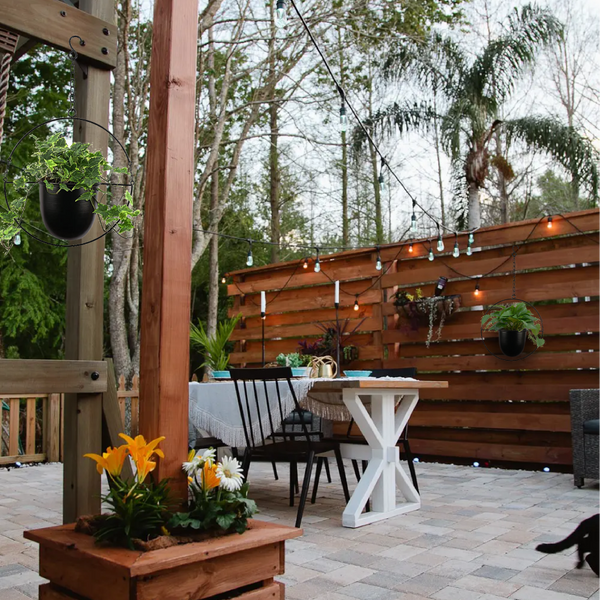 Exclusive combo for a stunning garden