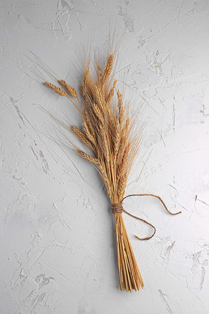 Boulanger Blog Post 3