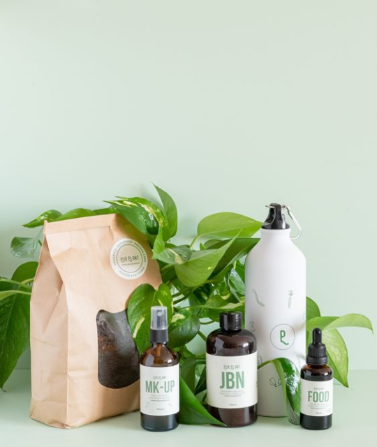 Plant Care