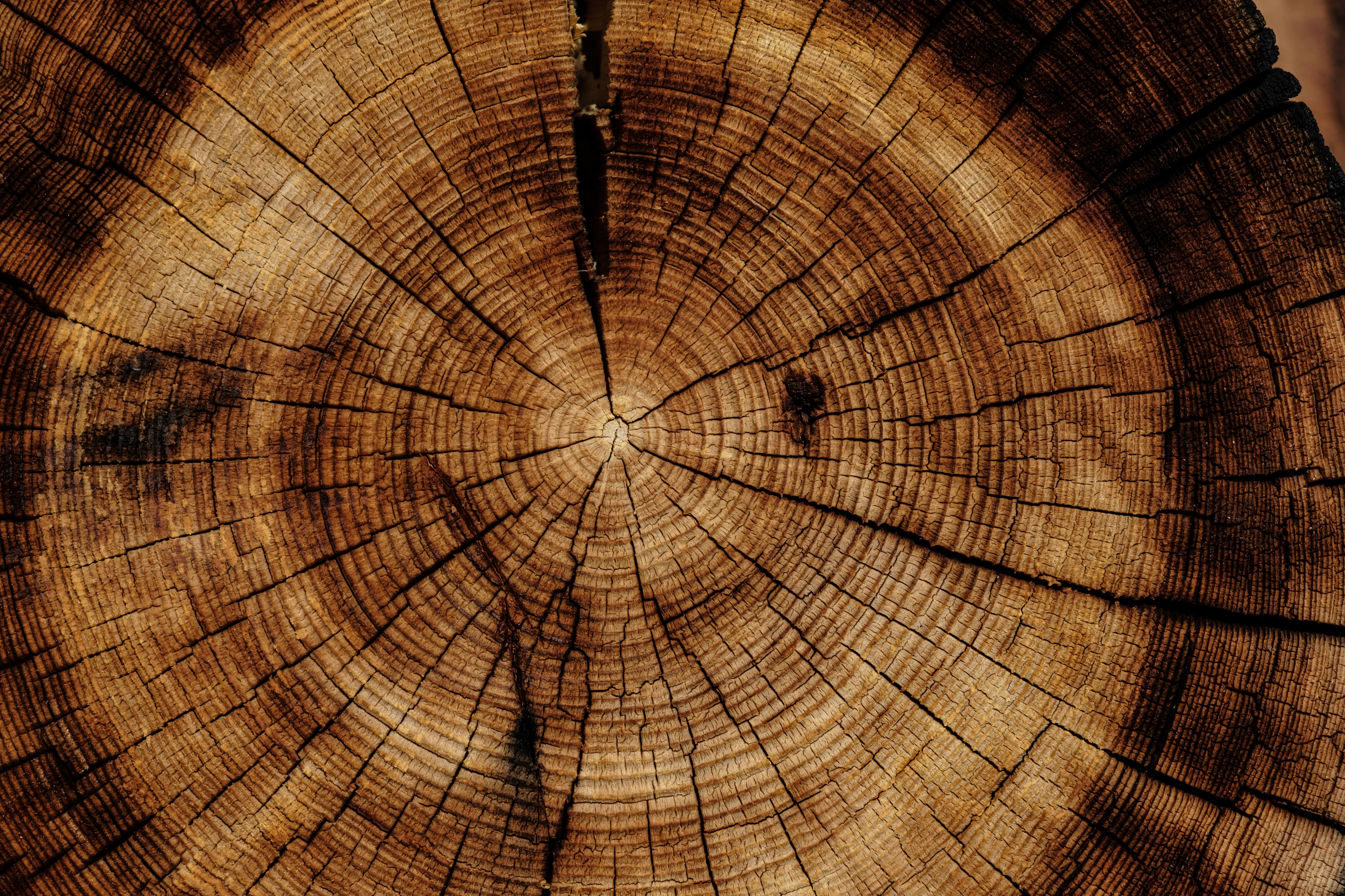 Wood Scent