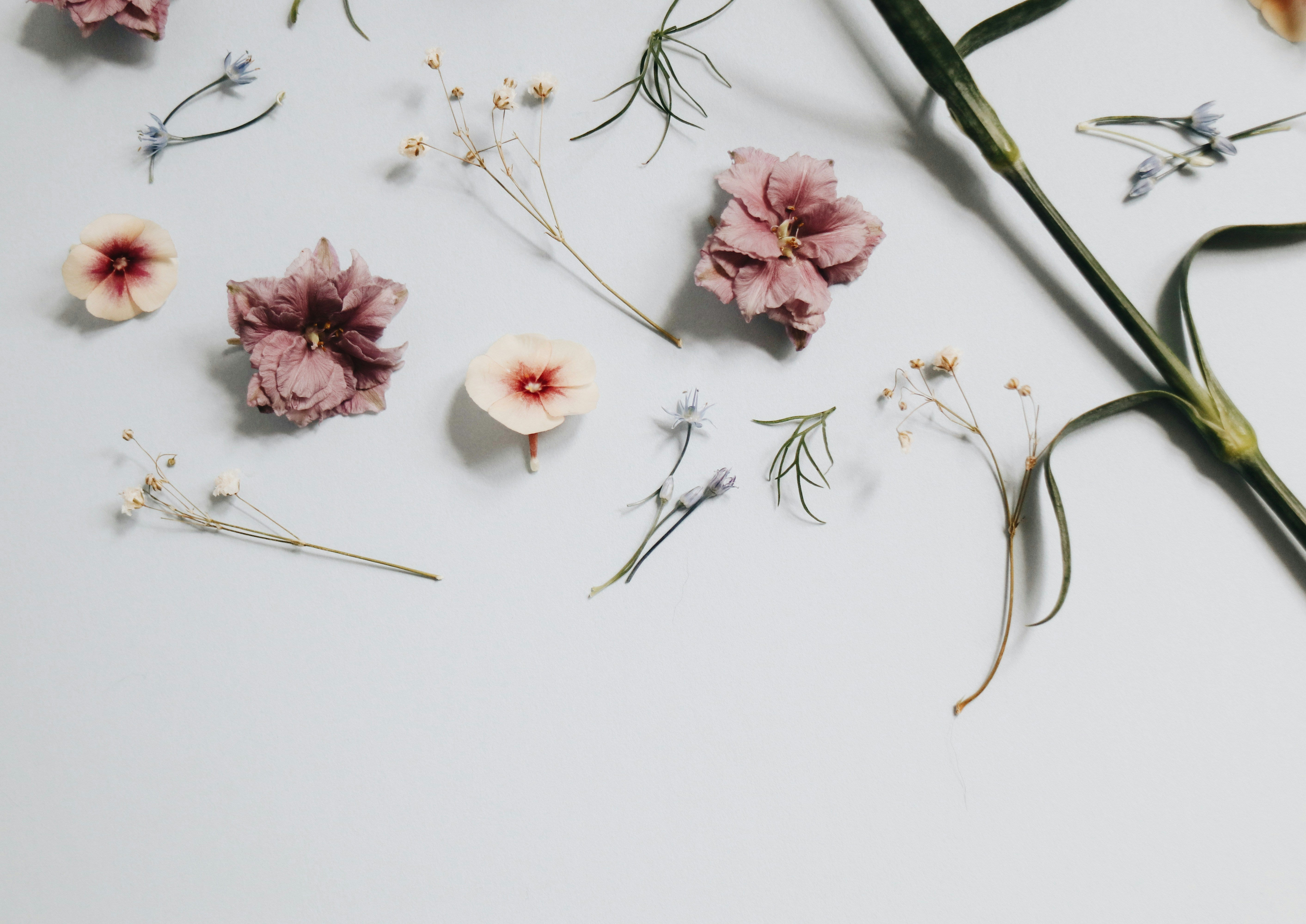 Light Floral