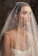 Dazzling Sparkle Veil