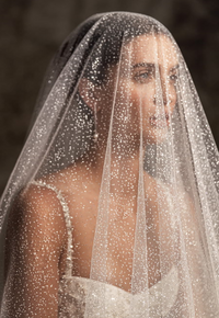 Dazzling Sparkle Veil