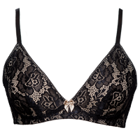 Shimmering Starlight Lace Push-Up Bra