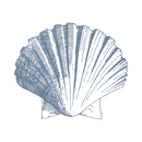 [UyênNH] Vuông 11 (1).png__PID:a911af4f-1bce-4b34-8b41-7259753884a2