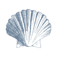 [UyênNH] Vuông 11 (1).png__PID:a911af4f-1bce-4b34-8b41-7259753884a2