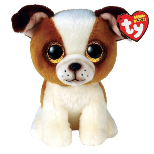 Interactive Robotic Dog