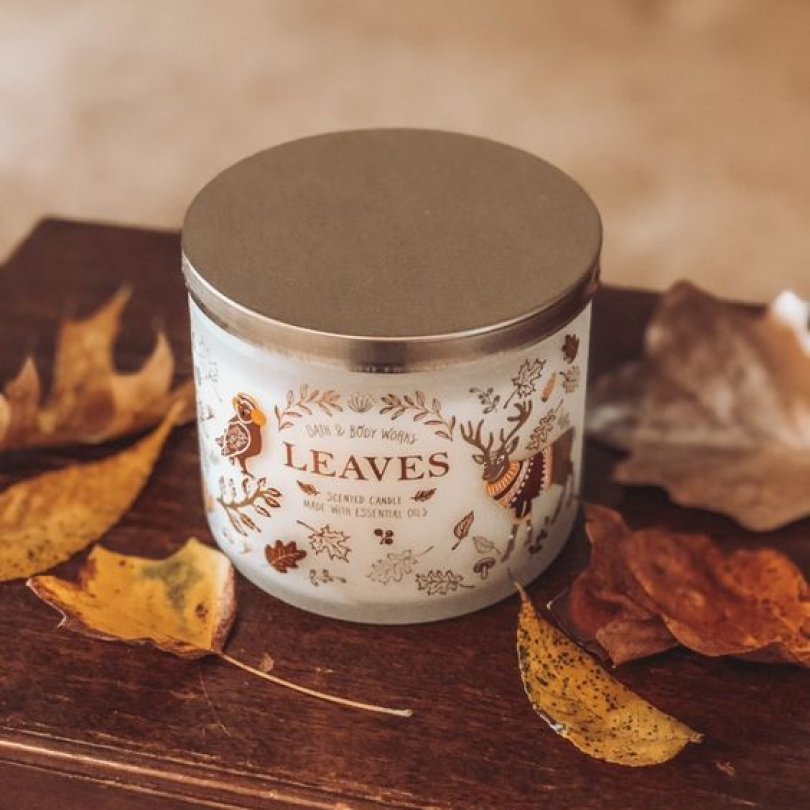Autumn Leaves Serenity