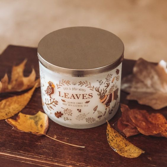 Autumn Leaves Serenity