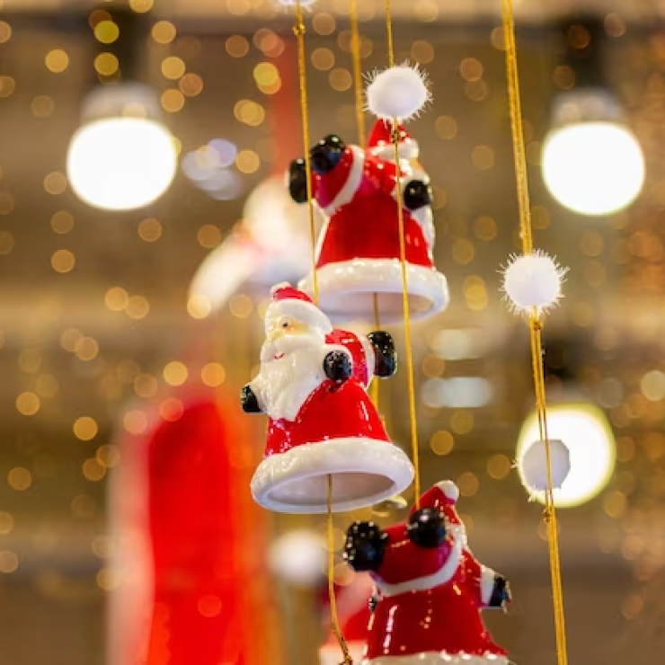 Santa Head Birdhouse Ornament