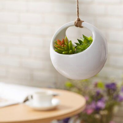 Hanging Round Pottery Planter