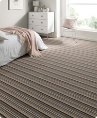 Sleek Stripes