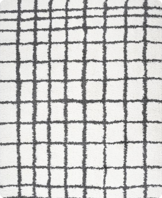 Geometric Grid