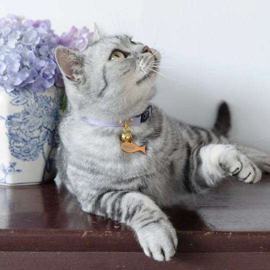 Stylish Cat Collar With Bell