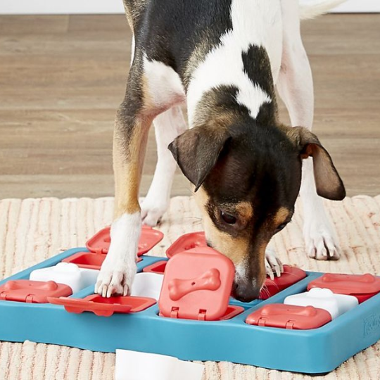 Interactive Treat Dispensing Puzzle Toy
