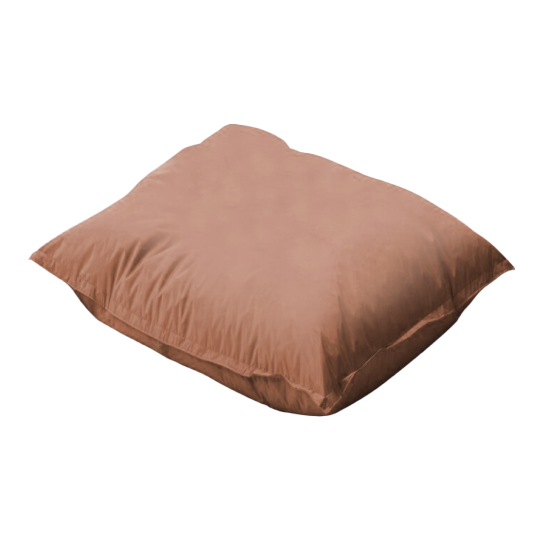 Anti-Allergy Luxury Micro-Fibre Pillow With Cotton Pillow Case