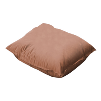 Anti-Allergy Luxury Micro-Fibre Pillow With Cotton Pillow Case