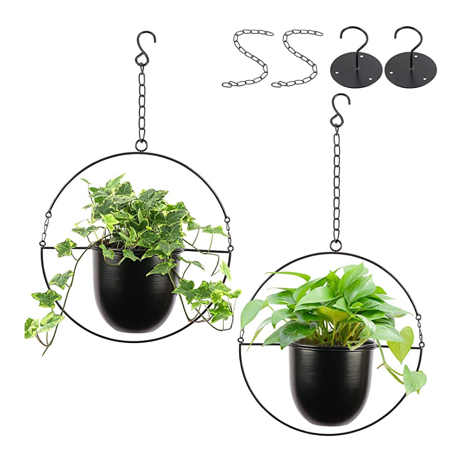 Exclusive combo for a stunning garden