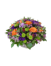 Vibrant Floral Medley