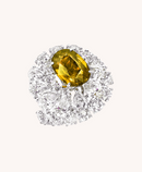 Slim Signet Ring