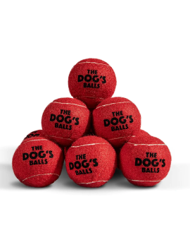 Ultra Ball Dog Toy