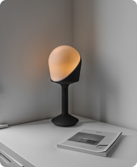 Shaded Drum Table Lamp