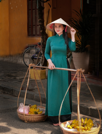 Silk Innovative Ao dai
