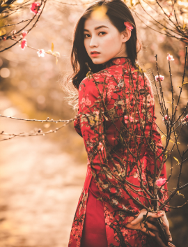 Innovative Ao dai