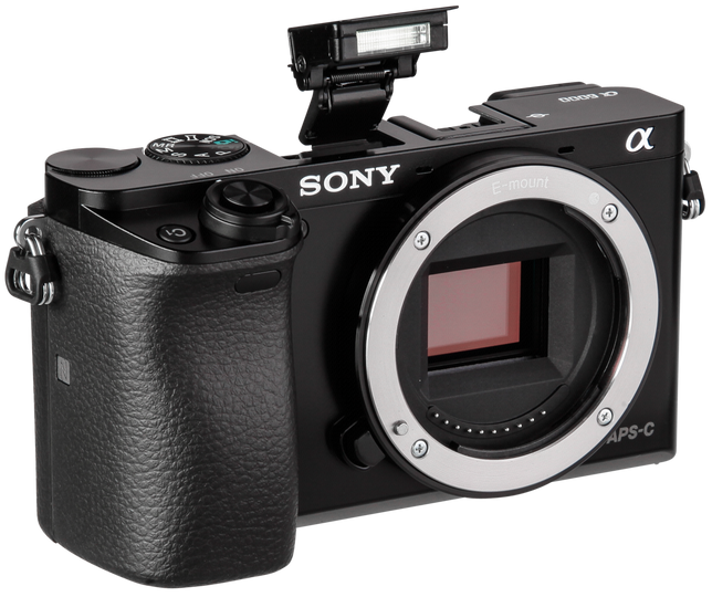 DigiSnap 1