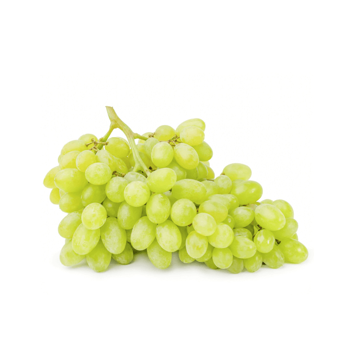 Organia Product 6