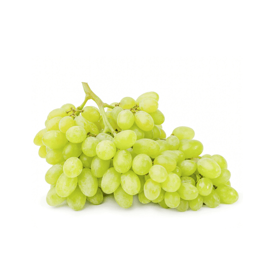 Organia Product 6