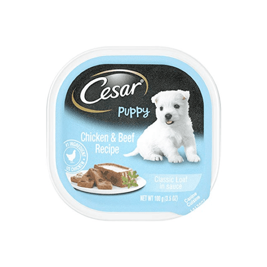 PP product 01