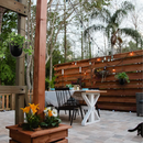 Exclusive combo for a stunning garden