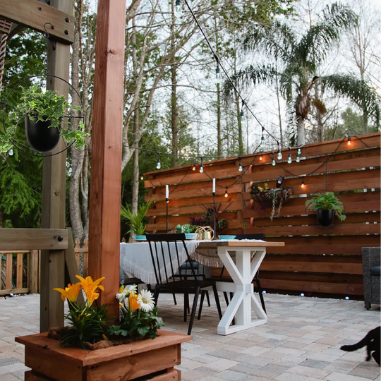 Exclusive combo for a stunning garden